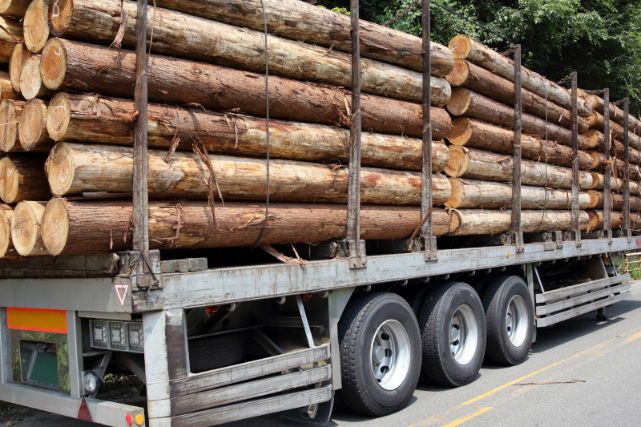 木材運搬トラック中古の購入はトラックワンへ 木材運搬に適したトラックとは 大型やユニックパル付きなど 中古トラックの トラックワン 販売 在庫多数